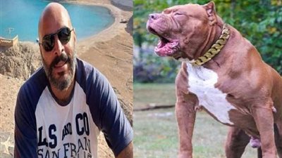 «الكلب عقره » غداً محاكمة زوج 