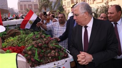 إطلاق أكبر قافلة للسلع الغذائية والخدمات البيطرية بشمال سيناء