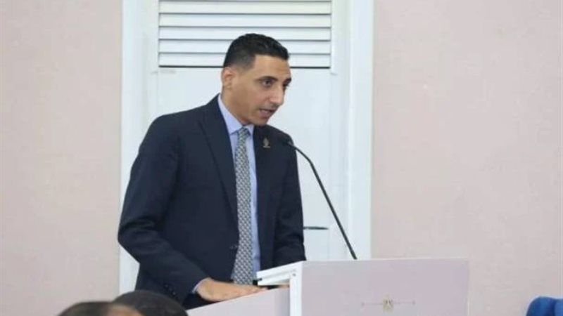عماد سلامة غنيم
