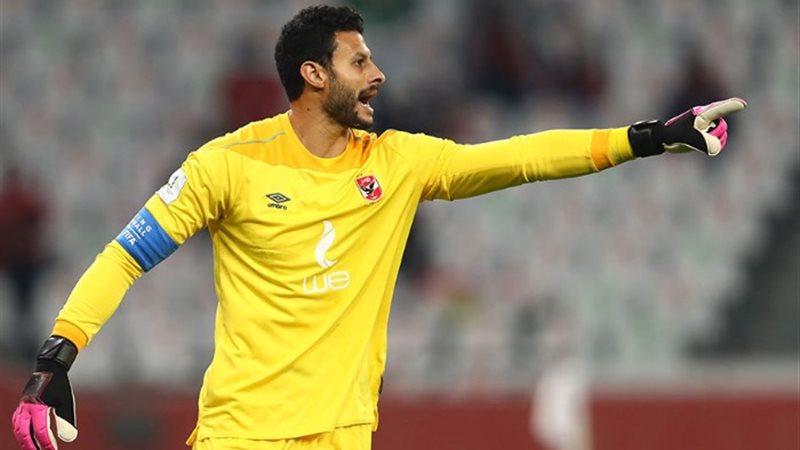 محمد الشناوي