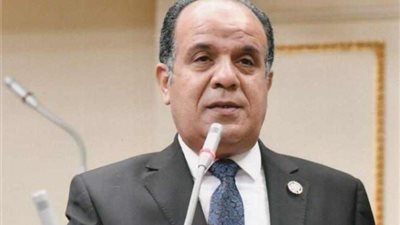 النائب أحمد مهنى: تأييد الرئيس السيسي واجب وطني