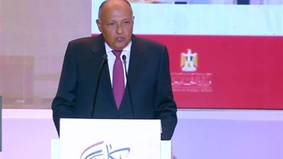 وزير الخارجية: مصر سعت لتسوية أزمات الدول العربية