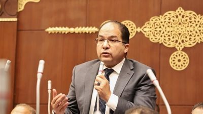 عضو بـ«الشيوخ»: ترشح الرئيس للانتخابات المقبلة ضرورة وطنية تفرضها المرحلة
