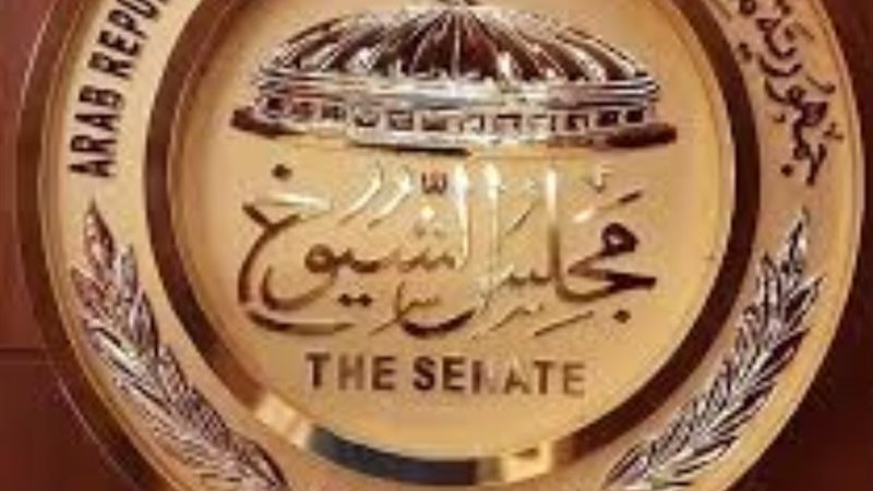 مجلس الشيوخ