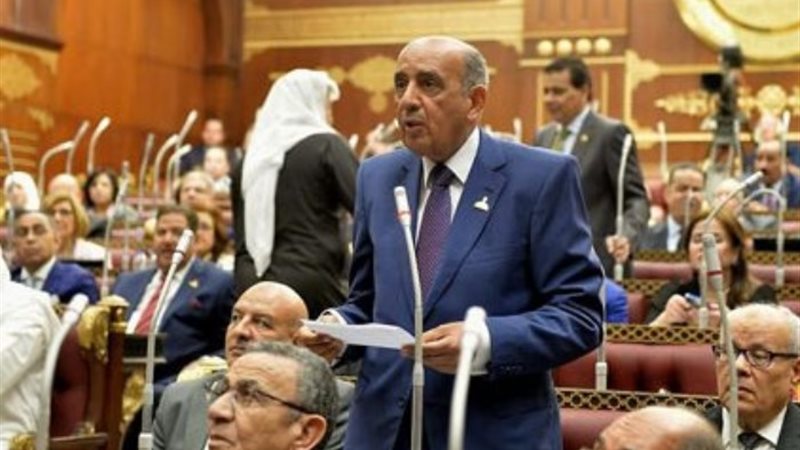 النائب محمد حسام