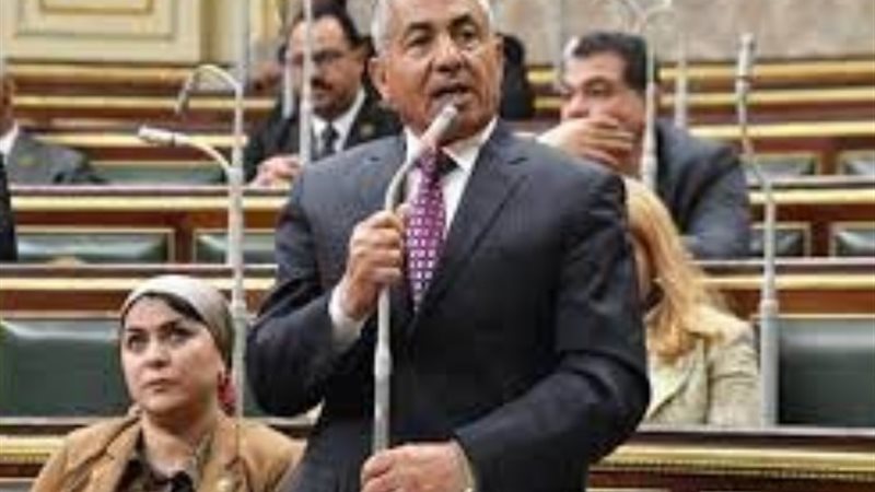 النائب أحمد العوضي