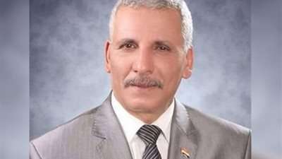 برلماني: أنصار أحمد الطنطاوي يحاولون إرهاب المواطنين
