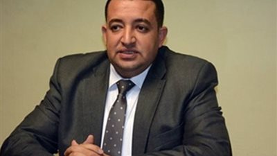 نائب عن بيان البرلمان الأوروبي بمضايقات الطنطاوي: محاولة لإفساد الانتخابات