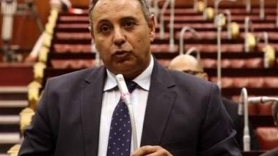 حزب إرادة جيل لـ«لبرلمان الأوروبي»: بيانكم فى مزبلة التاريخ ومرفوض