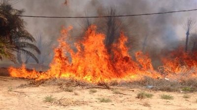 حريق هائل بحظيرة مواشى  بالغربية