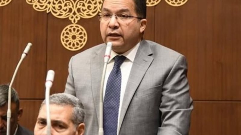 النائب عادل اللمعي