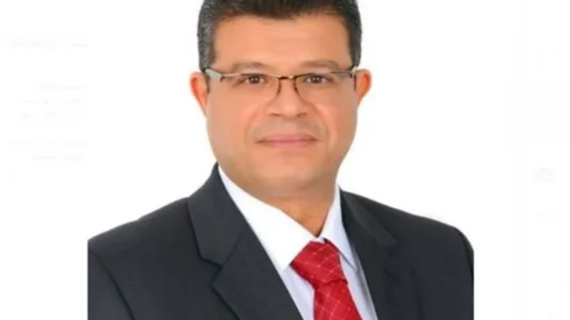د. محمد السيد سليمان