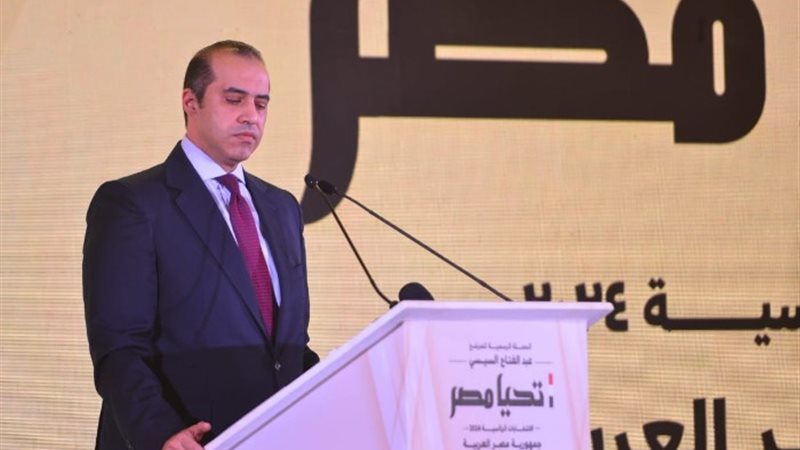 المستشار محمود فوزي