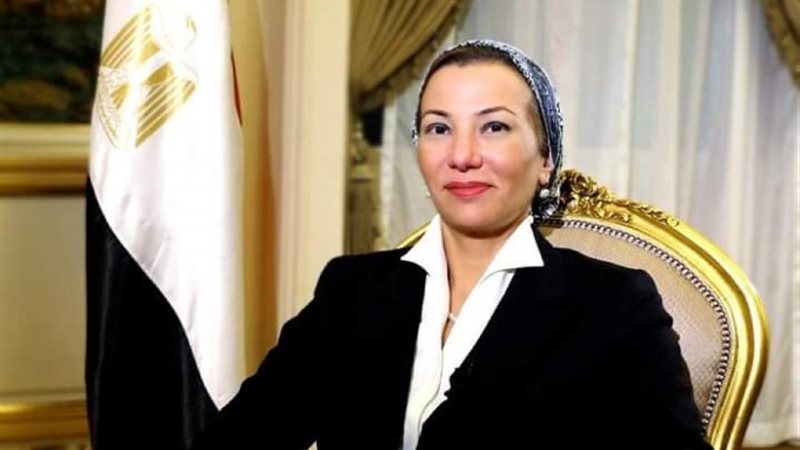ياسمين فؤاد