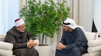 رئيس الإمارات يستقبل شيخ الأزهر ويبحثان الحوار الحضاري وتعايش الثقافات
