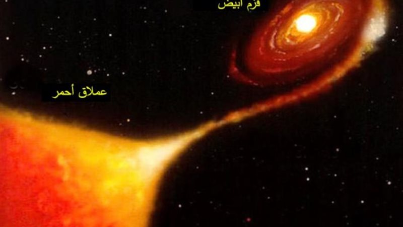 انفجار نوفا المنتظر حدوثه لنجم ضفيرة برنيس