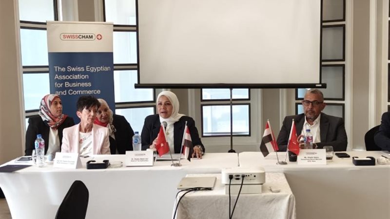 رئيس الضرائب المصرية