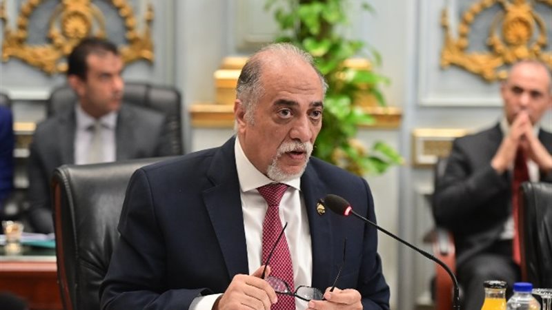 النائب عبدالهادي القصبي