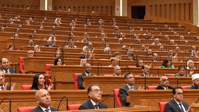 مصدر برلماني: الحكومة التزمت بمخرجات الثقافة والهوية بالحوار الوطني