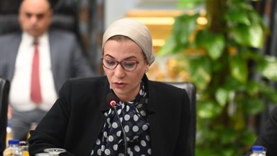 ياسمين فؤاد: محور البيئة يتضمن 6 برامج أبرزها مواجهة التغير المناخي