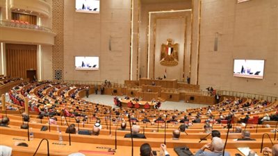 وكيل البرلمان: نواب الشعب وحكومته متوافقون على إعلاء مصلحة الوطن