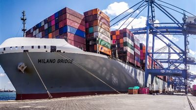 ميناء دمياط يستقبل 3873 رأس ماشية ويصدّر 10805 طن بضائع متنوعة