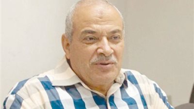 رئيس شعبة الدواجن يكشف لـ«الجمهور» أسباب ارتفاع أسعار الفراخ