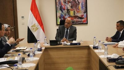 وزير الكهرباء يبحث تنفيذ مشروعات الطاقة المتجددة في بنبان وخليج السويس