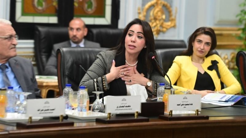 النائبة غادة على عضو مجلس النواب