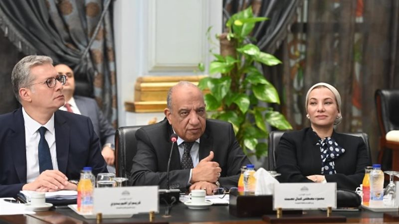 محمود عصمت خلال جلسة استعراض خطة الكهرباء أمام النواب