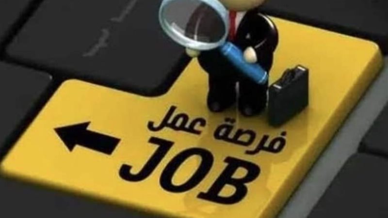 أرشيفية - وظائف