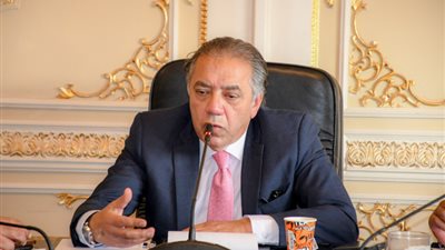 رئيس إفريقية النواب: نطالب بعدم المساس بحقوق مصر المائية