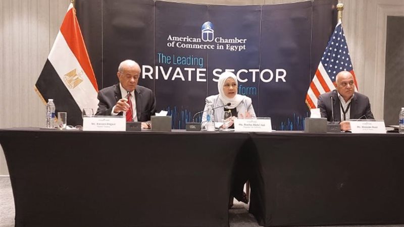 رشا عبد العال رئيس مصلحة الضرائب المصرية