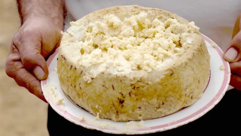 جبنة كاسو مارزو