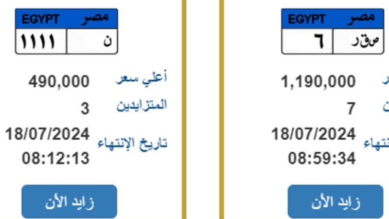 صقر 6