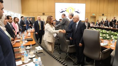 التنمية المحلية تنظم ورشة لتعريف المحافظين الجدد ونوابهم بمهام عملهم (صور)