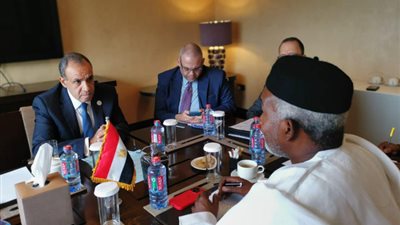 وزير الخارجية يلتقي نظيره النيجيري على هامش القمة التنسيقية للاتحاد الأفريقي