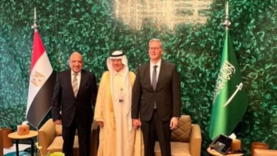 وزيرا الكهرباء والبترول يبحثان زيادة الاستثمارات السعودية في مجالات الطاقة