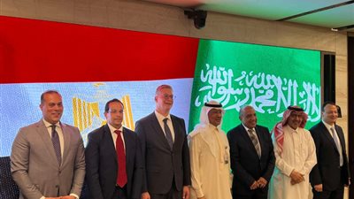 وزارة الكهرباء تُعلن انتهاء مشروع الربط بالمملكة السعودية الصيف المقبل