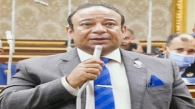 نائب بمستقبل وطن: الحوار الوطني ممثل لطوائف الشعب