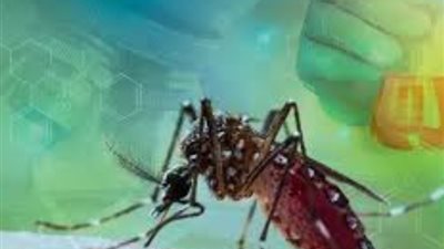 «الصحة» تكشف حقيقة سلالات مرض حمى غرب النيل وطرق انتقاله