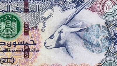 سعر الدرهم الإماراتي أمام الجنيه المصري اليوم الأربعاء 24-7-2024
