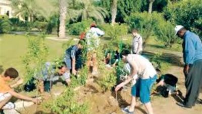 3 قرارات من محافظ القاهرة لتشجير محاور المحافظة