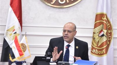 وزير العمل: اليوم إجازة رسمية مدفوعة الأجر للعاملين بالقطاع الخاص