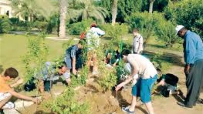 أرشيفية