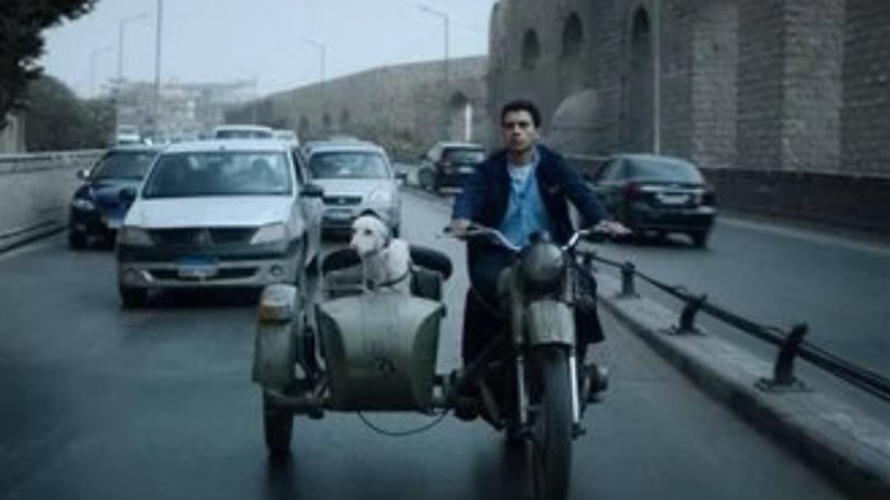 فيلم البحث عن منفذ
