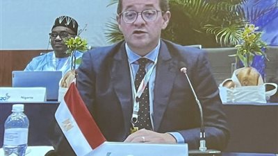 وزير المالية: تطوير معايير «الضرائب الدولية» لتصبح أكثر استجابة للتحديات