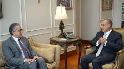 وزير الخارجية يلتقي خالد العناني مرشح مصر لمنصب مدير اليونسكو
