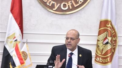 6 جولات لوزير العمل خلال 25 يومًا، وقرارات تأديبية للمقصرين