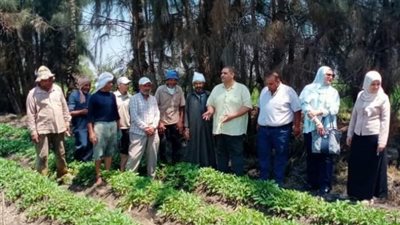 «الزراعة»: الفرق الإرشادية تواصل تقديم الدعم الفني للمزارعين
